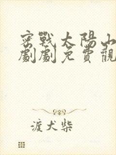 密战太阳山电视剧剧免费观看全集