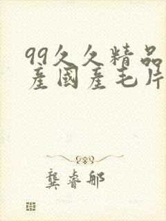 99久久精品国产国产毛片