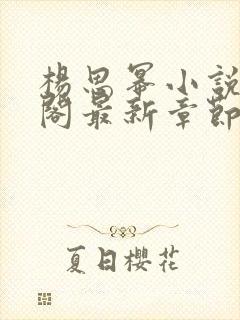 杨思幂小说笔趣阁最新章节封面