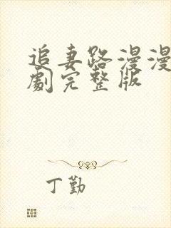 追妻路漫漫连续剧完整版封面