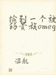 捡到一个被抹布的贵族omega封面