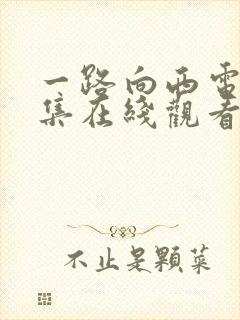 一路向西电影全集在线观看