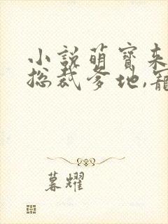 小说萌宝来袭:总裁爹地,宠上天