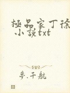 极品家丁徐芷晴 小说txt