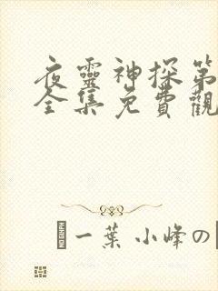 夜灵神探第一季全集免费观看高清封面