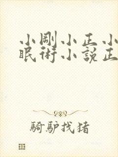 小刚小正小柔催眠术小说正版