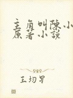 主角叫陈小贰的原著小说
