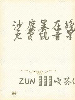 沙尘暴在线观看免费观看星辰影院