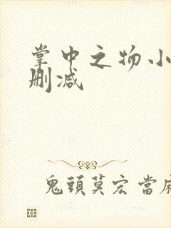 掌中之物小说未删减