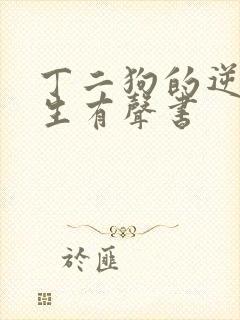 丁二狗的逆袭人生有声书