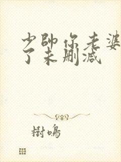 少帅你老婆又跑了未删减封面