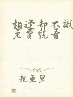 相逢却不识短剧免费观看封面