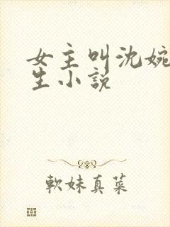 女主叫沈婉的重生小说