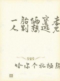 一胎俩宝老婆大人别想逃免费小说