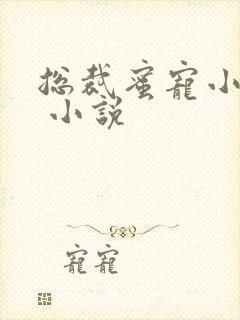 总裁蜜宠小甜妻 小说