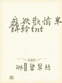 瘾欲欢愉半块小饼干tnt