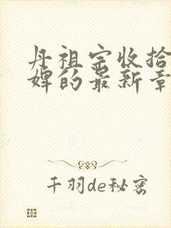 丹祖宗收拾小贱婢的最新章节小说下