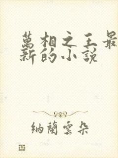 万相之王最快更新的小说