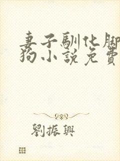 妻子驯化脚下的狗小说免费阅读封面