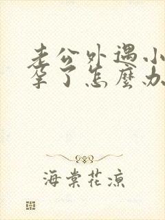 老公外遇小三怀孕了怎么办