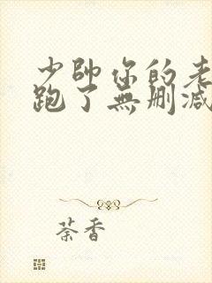 少帅你的老婆又跑了无删减版