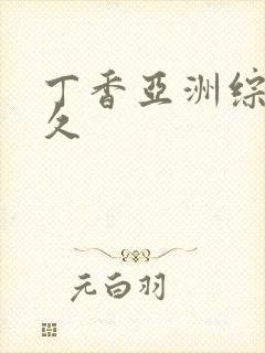 丁香亚洲综合久久