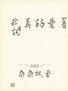 我真的爱着你歌词