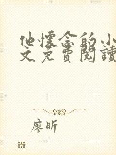 他怀念的小说全文免费阅读封面