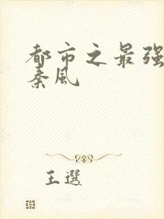 都市之最强仙帝秦风