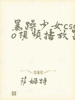 暴躁少女csgo视频播放器推荐