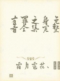 有罪之身免费观看全集完整版