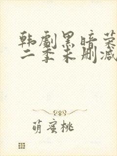 韩剧黑暗荣耀第二季未删减版