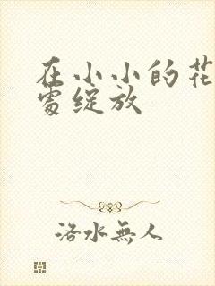 在小小的花蕾深处绽放