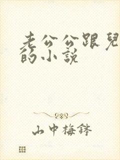 老公公跟儿媳妇的小说