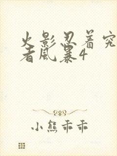 火影忍着究极忍者风暴4