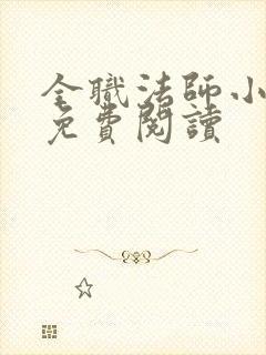 全职法师小说 免费阅读