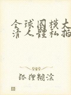 全球国模大胆高清人体私拍