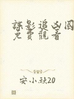 谍影追凶国语版免费观看