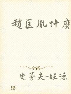 赵匡胤什么关系