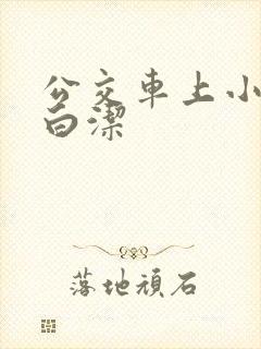 公交车上小说 白洁