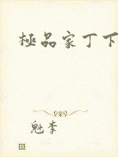 极品家丁下载封面