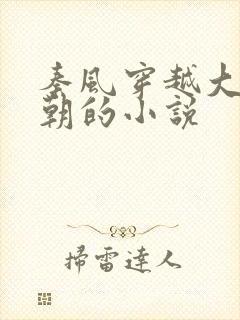 秦风穿越大乾王朝的小说