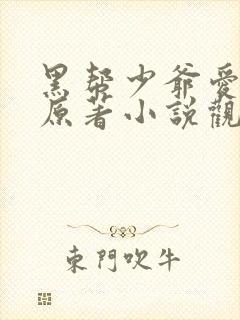 黑帮少爷爱上我原著小说观看封面