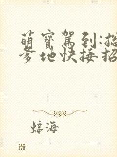 萌宝驾到:总裁爹地快接招