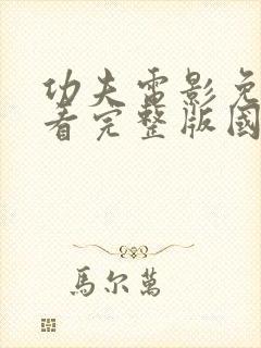 功夫电影免费观看完整版国语高清字幕