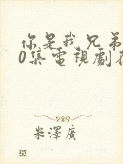 你是我兄弟全40集电视剧在线播放免费