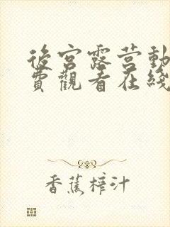 后宫露营动漫免费观看在线