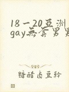 18一20亚洲gay无套男男