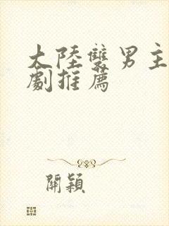 大陆双男主电视剧推荐