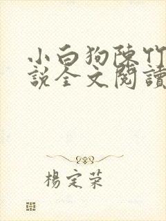 小白狗陈竹岚小说全文阅读免费